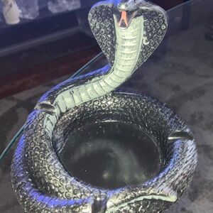 Black Cobra Reptile Tray/Dish